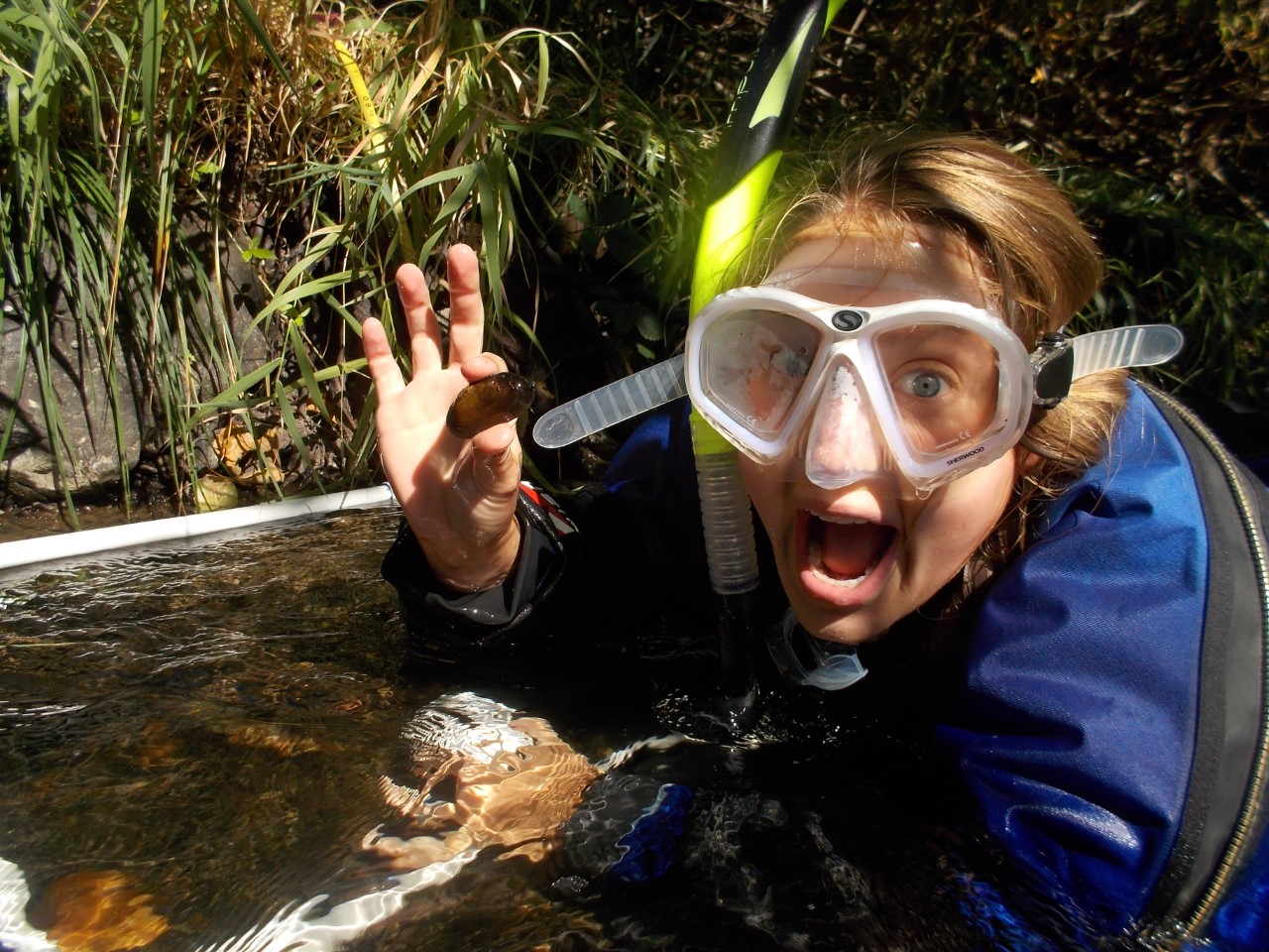 Laura in snorkeling gear showing a mussel from a stream while sampling for her masters work
